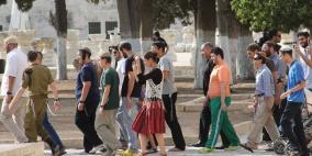 المحتلون يحمون اقتحام الارهابيين المتطرفين للاقصى اليوم الاحد