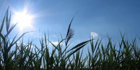 الطقس: ارتفاعات على درجات الحرارة