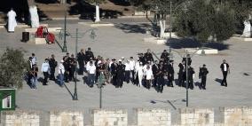 تواصل اقتحامات المستوطنين للمسجد الاقصى