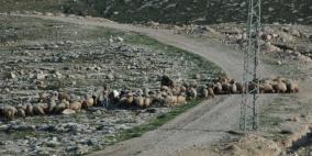 حملة بلاغات بالهدم في "المعرجات"