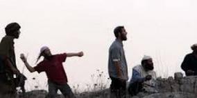 مستوطنون يعتدون على سيارات المواطنين في الخليل