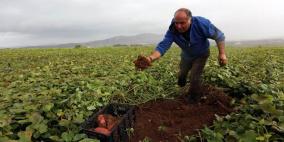 الرئيس: قريباً سيتم تعويض المزارعين المتضررين من الاحوال الجوية