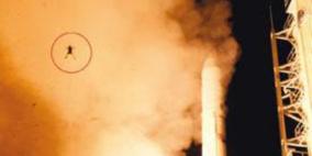 ضفدع الفضاء يظهر بالقرب من صاروخ "ناسا"