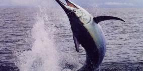 أبو سيف تقتل صيادا