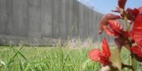 وقفة تضامنية أوروبية ضد قرار الاستيلاء على 7200 دونم من أراضي بيت جالا