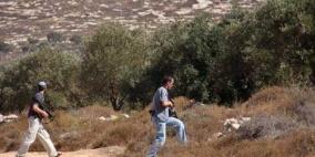 مستوطنون يقطعون أشجار زيتون في بيت أمر