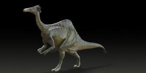 علماء المتحجرات يعيدون صورة ديناصور احدب