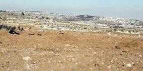 مستوطنون يقتلعون مئات اشجار الزيتون قضاء بيت لحم