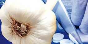 الثوم أقوى مضاد للفيروسات وعلاج فعال لـ"الخراج"