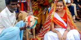 بالفيديو: فتاة هندية وكلب في عش الزوجية