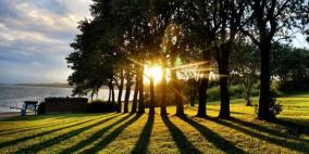 أشعة الشمس قد تقي من السكري والبدانة