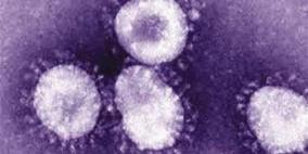 كورونا يحصد 9 أرواح في كوريا الجنوبية