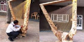 عراقي يسعى لتصنيع أكبر قيثارة بالعالم طمعا بـ"غينتس"