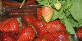 زيارة بيت المسنين لمعرض الفراولة والورد لليوم الثاني