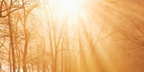 الشمس تحمى الأطفال من قصور الانتباه وفرط الحركة