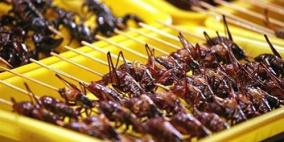 الجراد المشوي الطبق الأكثر شعبية بإندونيسيا