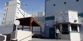 قرار نهائي بالإفراج عن الأسيرة لارا طرايرة بشروط