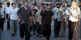 مستوطنون يقتحمون منطقة برك سليمان في بيت لحم