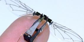 روبوت طائر بحجم ذبابة لعمليات الإنقاذ والرقابة