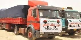 الجيش المصري يرسل 500 طن أدوية وأغذية لغزة