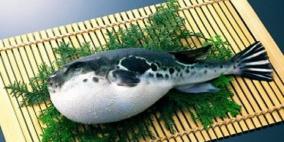 إصابة 11 شخصا من أسرة برازيلية بالشلل أثناء العشاء