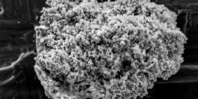 اكتشاف ذرات غبار المذنبات في جليد المنطقة القطبية الجنوبية