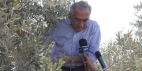 رئيس الوزراء سلام فياض يفتتح موسم قطف الزيتون لهذا العام في قرية جيوس  رئيس الوزراء سلام فياض يفتتح موسم قطف الزيتون لهذا العام في قرية جيوس