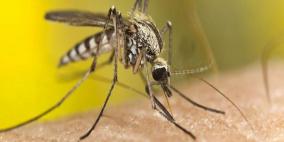 هكذا نتغلب على البعوض بدون مبيدات حشرية