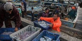 في تقرير لمركز معا: البحث عن السمك في غزة...مهمة شاقة تهدد البيئة البحرية