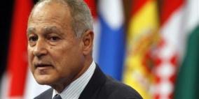 أبو الغيط: القضية الفلسطينية من دون أفق عائق أمام الاستقرار