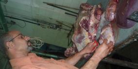 بلدية طولكرم تضبط 250 كغم لحم مخالفة للشروط العامة