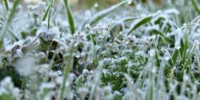 الطقس: أجواء شديدة البرودة