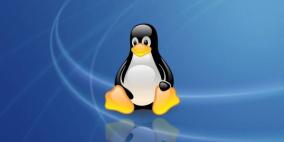 “يد اللص”: فيروس جديد يستهدف نظام “لينوكس”