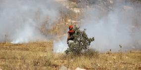 مسيرة قرية النبي صالح الأسبوعية ضد الإستيطان 29/6/2012