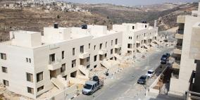 جولة في ضاحية الريحان السكنية