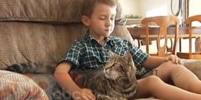 "بالفيديو" قطة تنقذ طفلا من كلب هاجمه