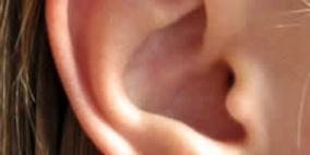 صناعة أذن بشرية من الدهون