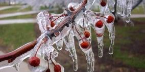 الارصاد تحذر من تشكل الصقيع