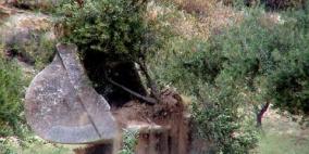 الاحتلال يهدد باقتلاع مئات أشجار الزيتون في يعبد