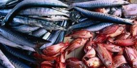 علماء: 4 مواد غذائية تجعل الإنسان عبقريا