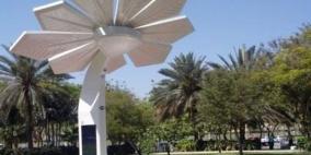 يحدث في دبي‬.. "أشجار نخيل ذكية" تقدم خدمة الواي فاي