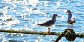 انخفاض على درجات الحرارة وأجواء خريفية