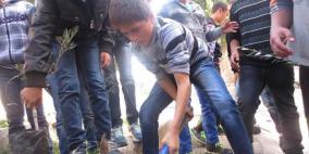 الإغاثة الزراعية تنظم يوما تطوعيا لزراعة الاشتال في طولكرم