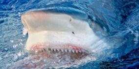 مواطن نيوزيلندي يتصدى لهجوم سمكة القرش