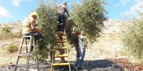 الخليل: إصابة 3 مواطنين بانفجار جسم مشبوه