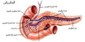 اختبار دم بسيط يساعد فى الكشف عن سرطان البنكرياس مبكراً