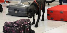 شرطة سيدني تنسى حقيبة متفجرات في المطار 4 أسابيع