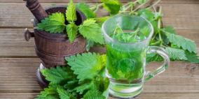 "القرَاص" اللاذع يخبَئ مزايا صحية عظيمة