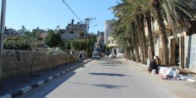 بلدية طولكرم تنفذ حملة لتشجير شوارع المدينة