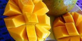 المانجو من الأطعمة المنتجة لمضادات الأكسدة عن طريق الجهاز المناعي